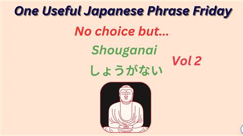 Use and Meaning of Shouganai(しょうがない) in。